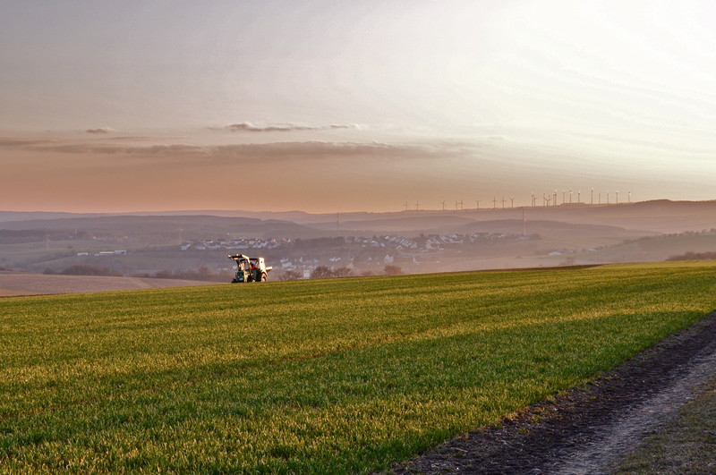 An Evening Stroll