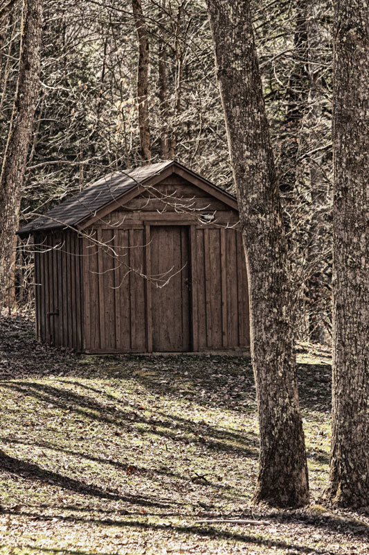 The Lone Cabin