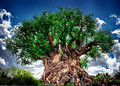 Tree of Life in Disney