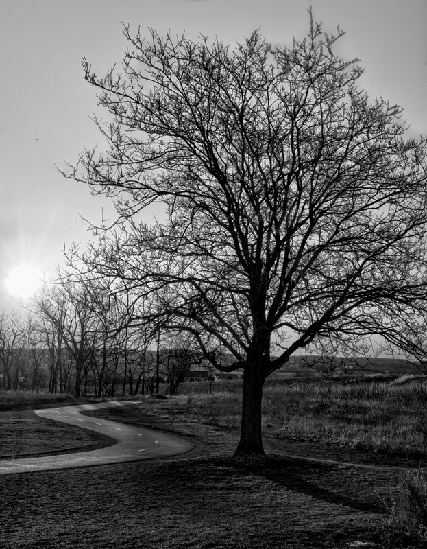 Rising on the End of Winter