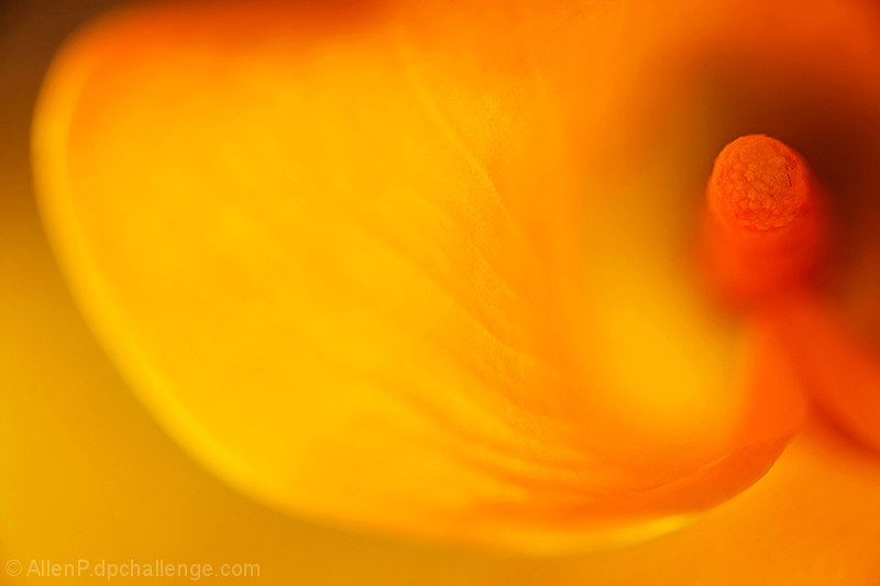 A Flow of Warmth