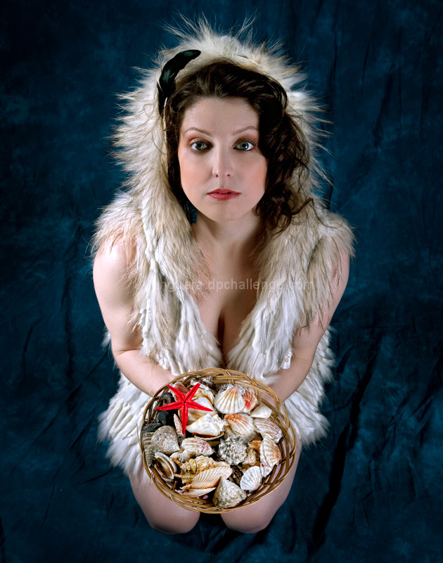 she has sea shells