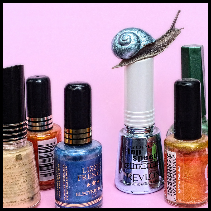 S Nail Polish Collection