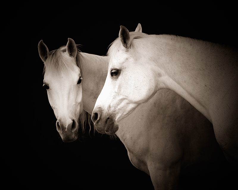 Two Beauties