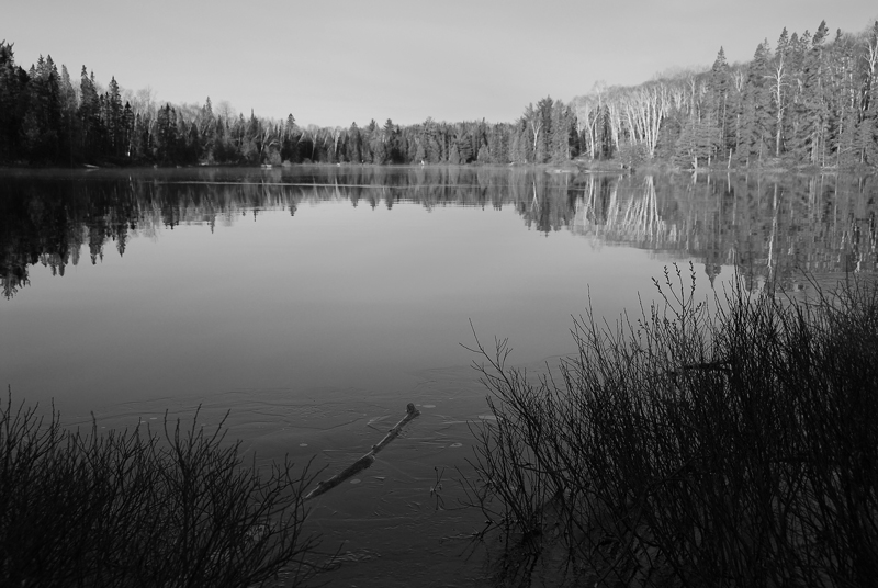 Grayscale
