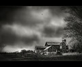 curse of the black bird