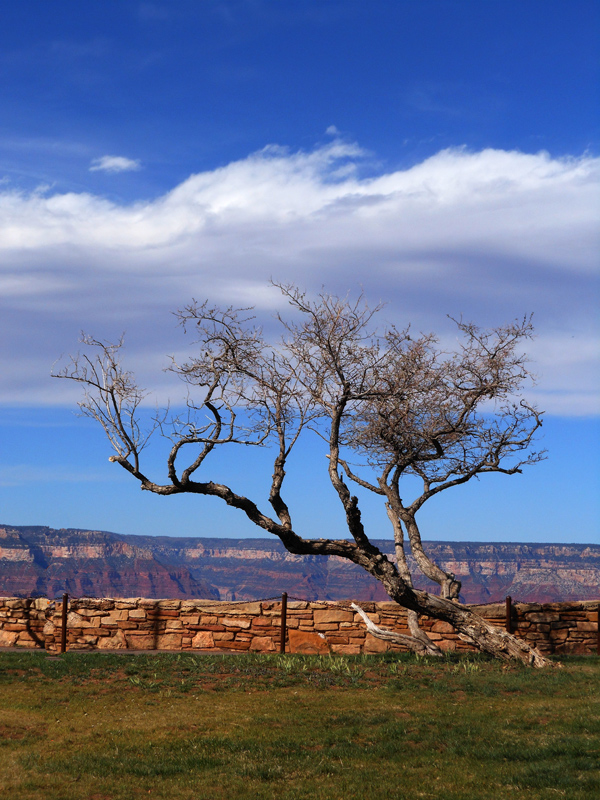 Through the Canyon