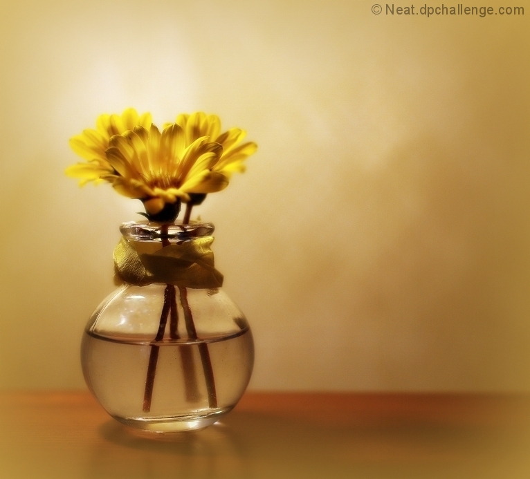 Still life with flowers