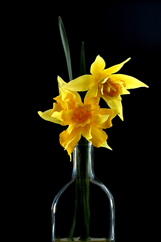 Yellow enough ?