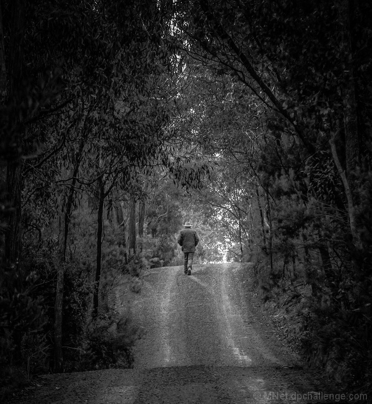 A Light Up Ahead
