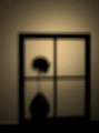 Shadow Boxed Flower