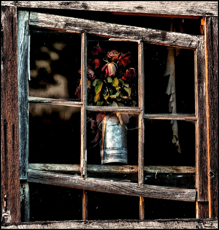 Window Framed