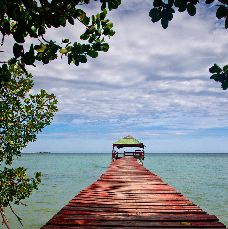 Paradisiac leaf-framed pathway to the sea