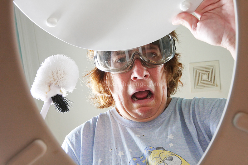 Toilet Cleaning Day