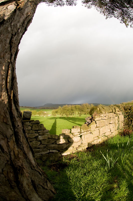 Spring-evening-in-Yorkshire