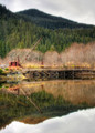 Machinery, water, and the outdoors...all kids love it.