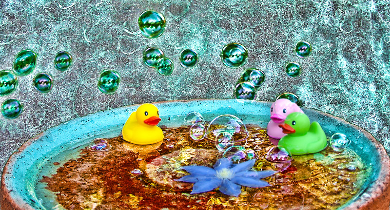 These Bubbly Little quackers Are Here To Say, They Hope You Have A Ducky Day!!