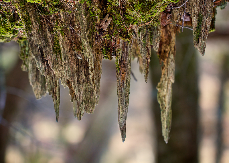 Stalactite Stump