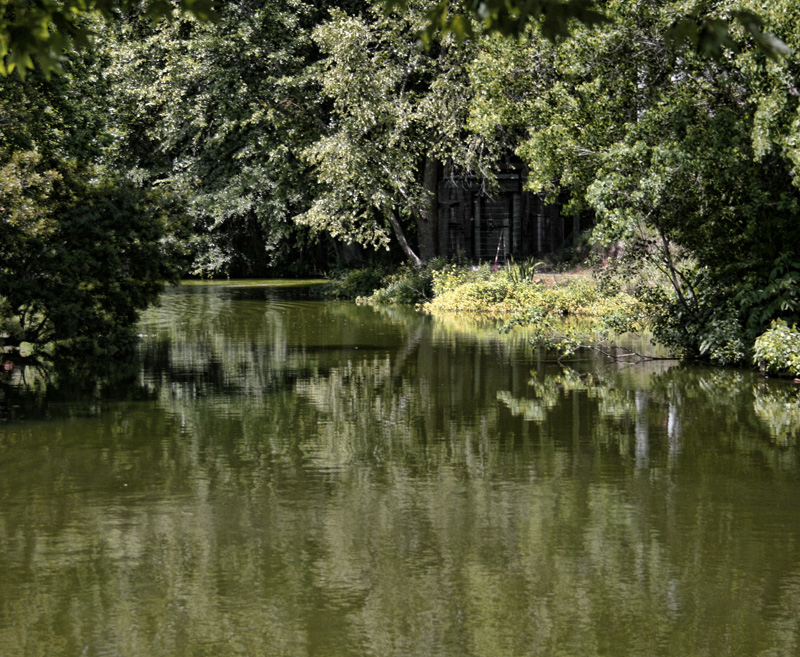 Reflections at the Zoo