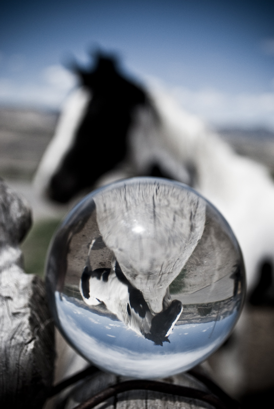 Yin-Yang on a Fencepost 