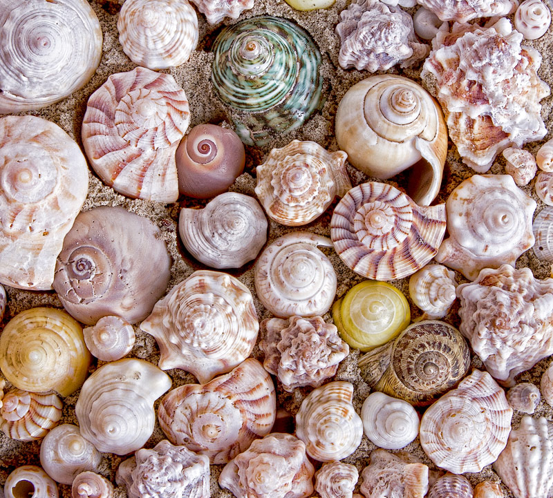 Spirals