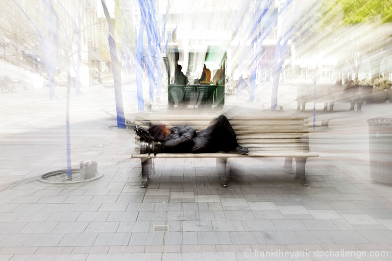 The Sanctity of the Parkbench