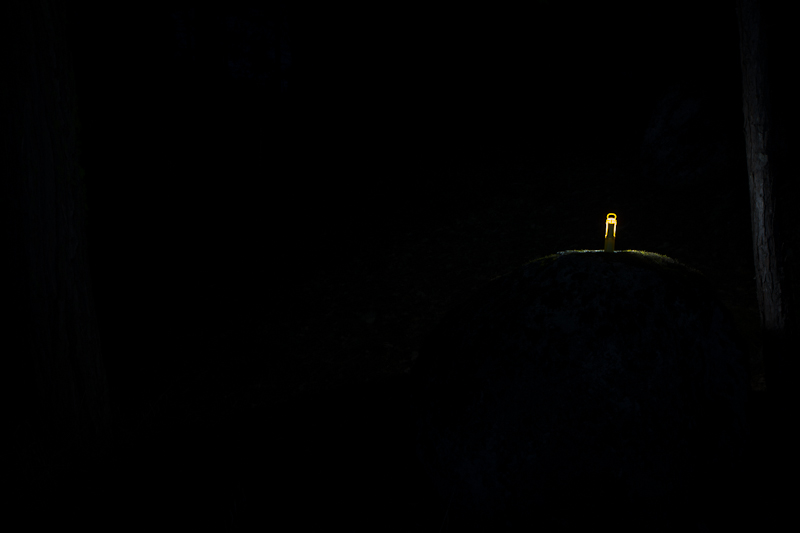 Lantern