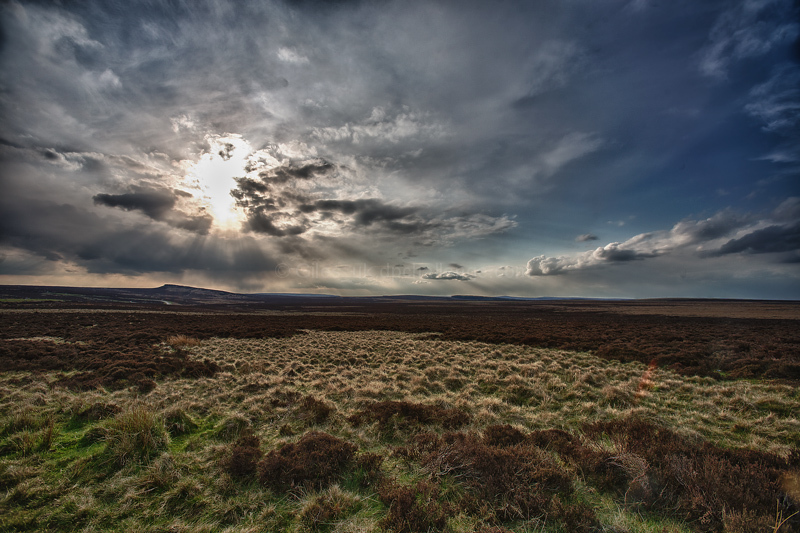alone on the high moor