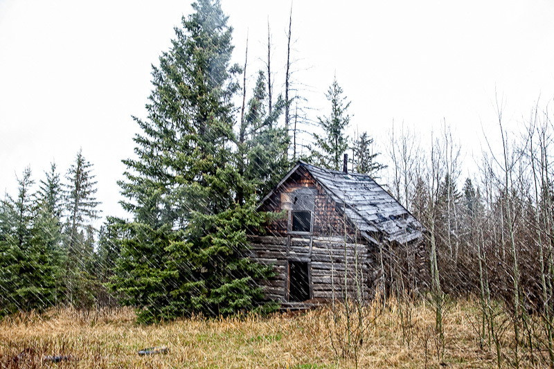 abandoned starter home