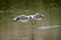 Take off