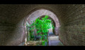 Touch of green