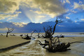Hunting Island Beach