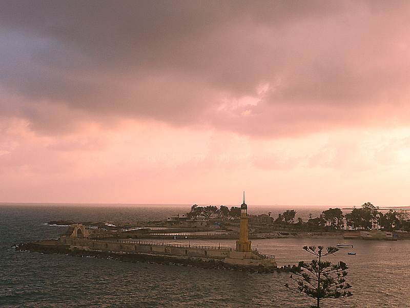 Montazah in Pink