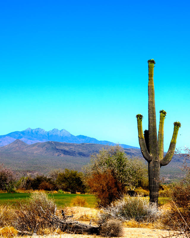 Summer in AZ