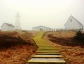 Cape Spear's fog- Newfoundland Landscape