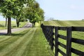 Fence and Road