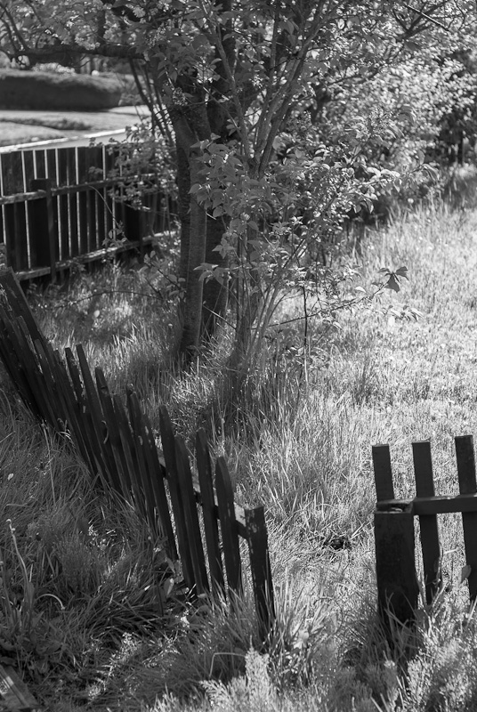 Poorly Landscaped