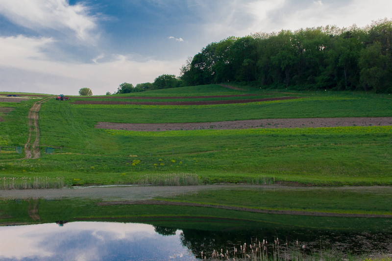 I Spy a Tractor Silhouette