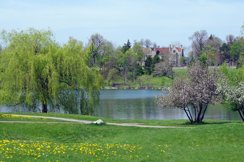 Hiding by the Lake