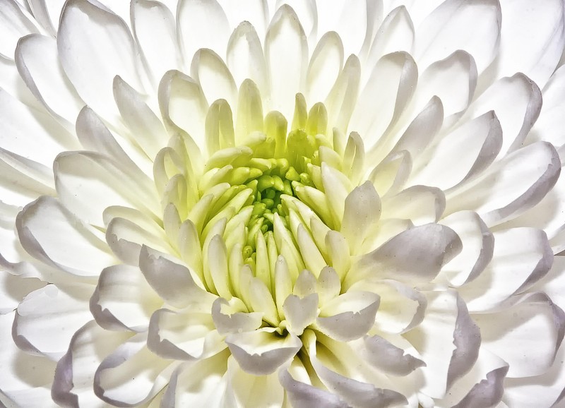 Radial Symmetry