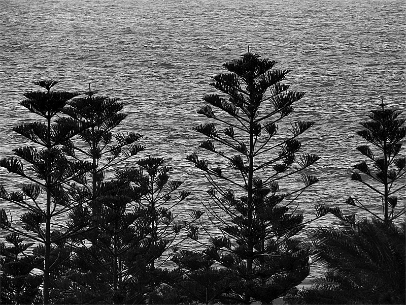 Symmetry by the Sea...