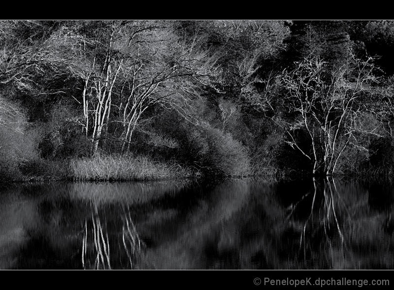 Early Morning, Slough Pond