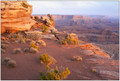 Desert Springtime