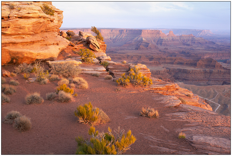 Desert Springtime