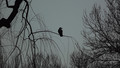 Autumn and loneliness 