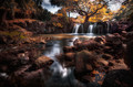 Brook's Creek