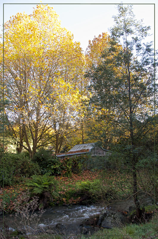 Autumn at Brookleigh