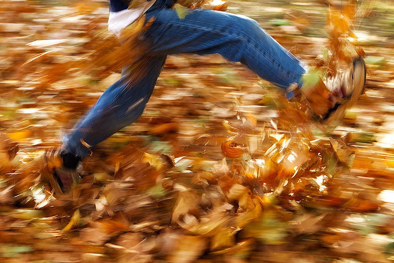 Autumn through the eyes of a Child