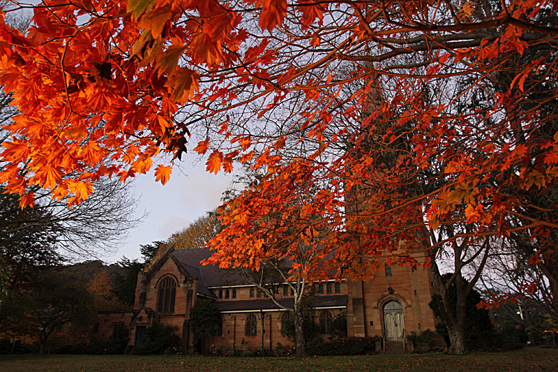 Autumn Years of The Church