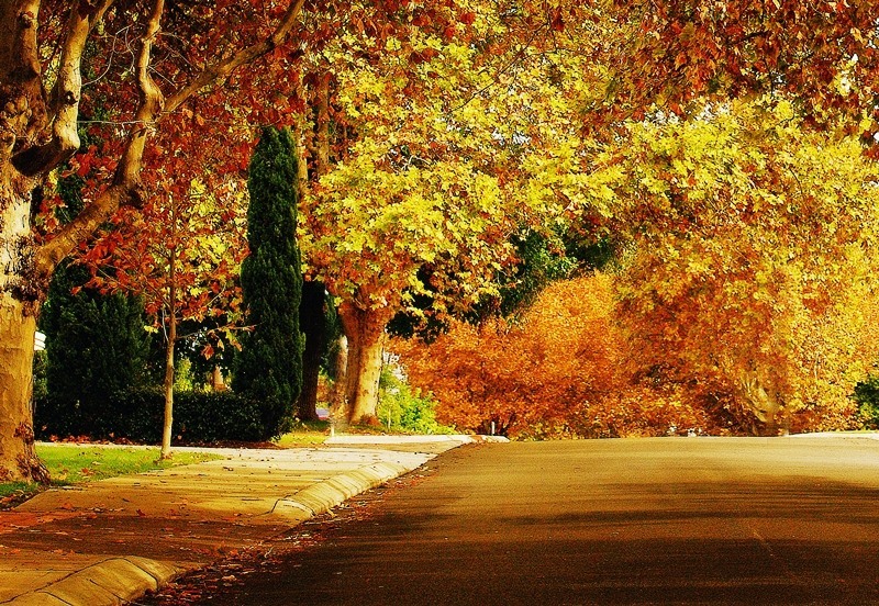 Fall in love with this street